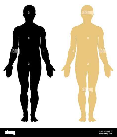 Human body outline. Anatomy. Male Stock Photo - Alamy