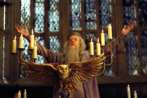 Dumbledore Dumbledore - Harry Potter | The throwaway Dumbledore remarks that got us thinking ...