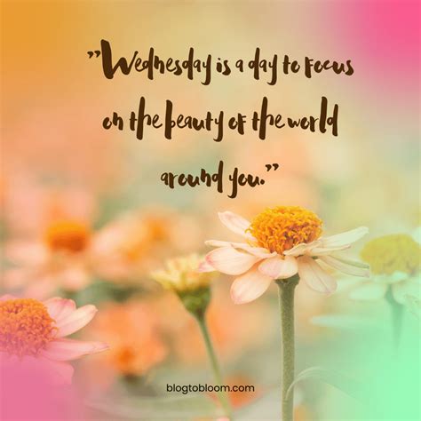Hump Day Wednesday Quotes