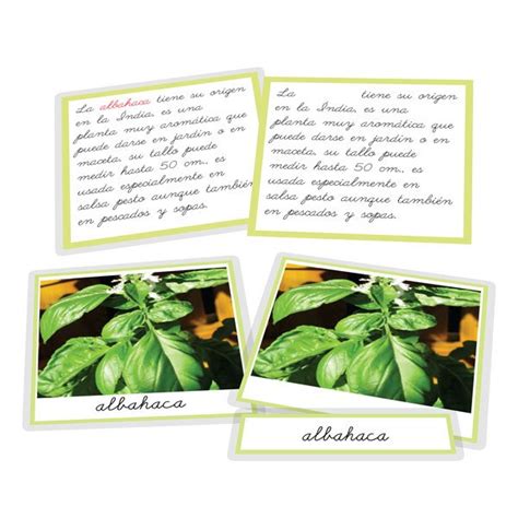 Nomenclatura Plantas