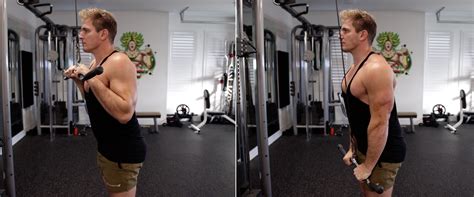 cable triceps pushdown muscular strength