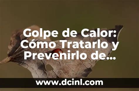 Tengo Algo Blanco En Mi Vagina Qu Es Y C Mo Tratarlo