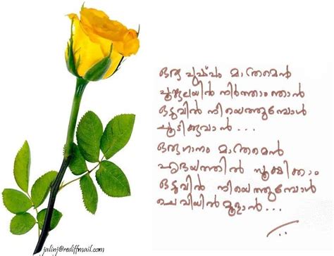 Dazzling Quotes Quotesgram