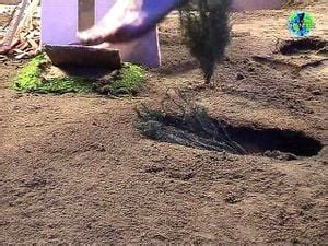 Watch Gianress Giantess Domination Amateur Porn SpankBang