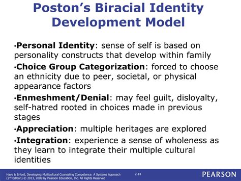 Ppt Cultural Identity Development A Holistic Perspective Powerpoint