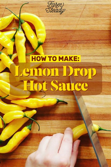 Lemon Drop Fermented Hot Sauce Artofit