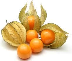 Cape gooseberry | Health Benefits