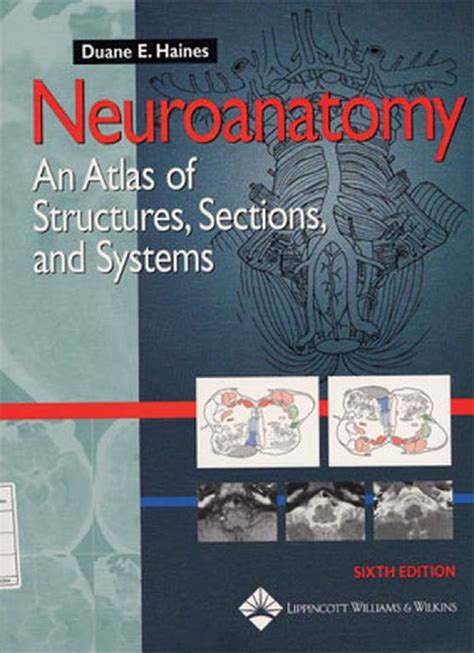 Neuroanatomy An Atlas Of Structures Sections And Systems Neuroanatomy An Atlas Of Strutures Sections And Systems Haines 11