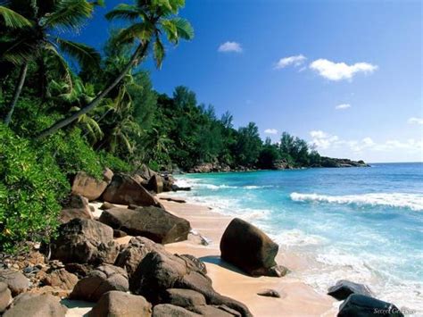 Ambiente natural - Imagui