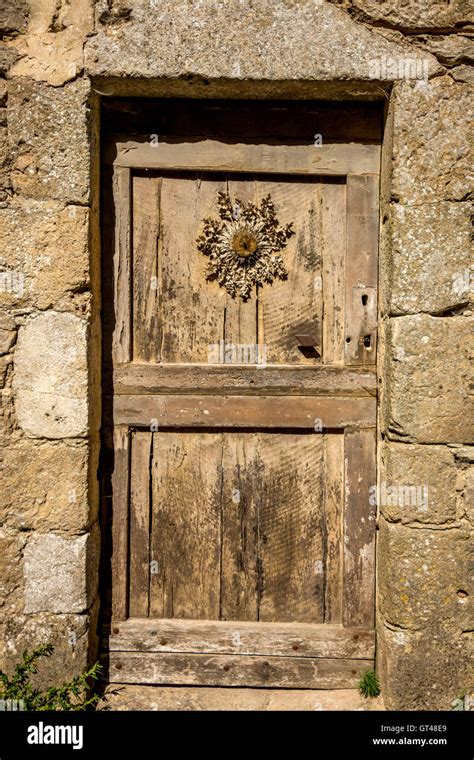 Cardabelle Fleur Sur Une Porte La Couvertoirade Tiquet Les Plus