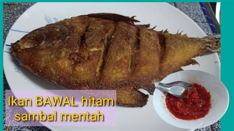 Ikan Bawal Goreng Sambal Mentah Youtube