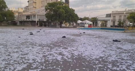 Estudiantes Sufrieron Quemaduras Con Pirotecnia En La Celebraci N Del