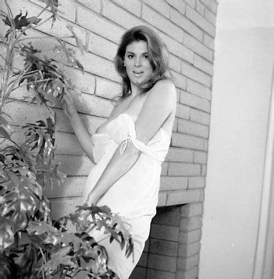 S Ron Vogel Negative Gorgeous Brunette Pin Up Girl Diane Potter T Antique Price