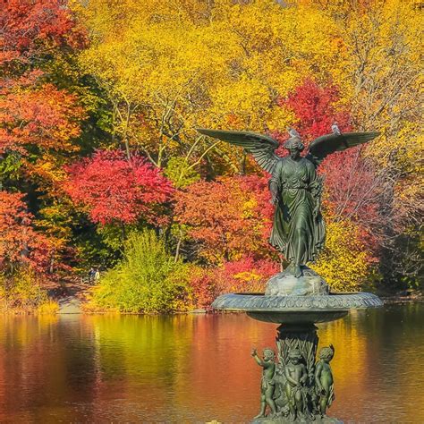 mickmicknyc net worth