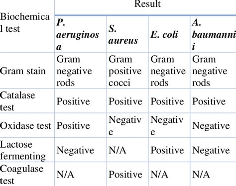 Gram Stain And Biochemical Tests Of Bacteria For The Current Study