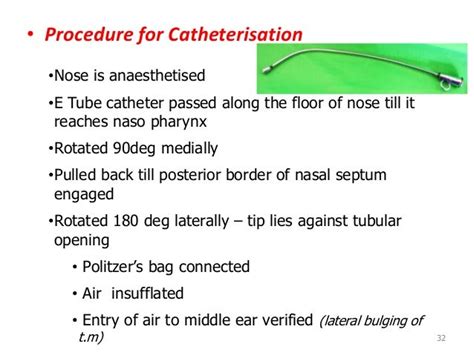 Anatomy And Physiology Of Eustachian Tube