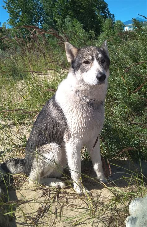 Милота | Пикабу