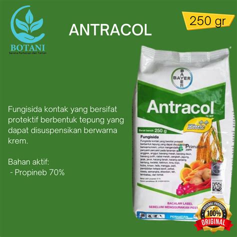 Jual Fungisida Antracol Wp Gram Shopee Indonesia