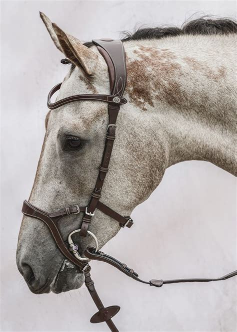 Ps Of Sweden Nirak™ Bridle Dressage Extensions