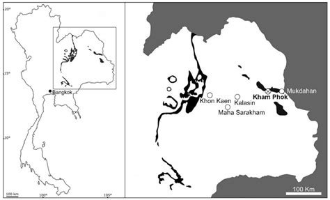 The First Fossil Coelacanth from Thailand