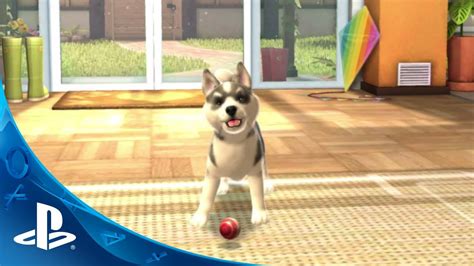 Playstation Vita Pets Announce Trailer - YouTube