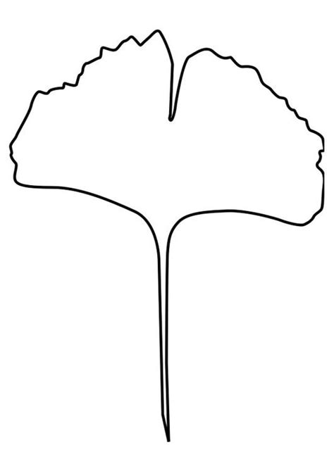 Kleurplaat Ginko Blad Gratis Kleurplaten Om Te Printen Afb 27184