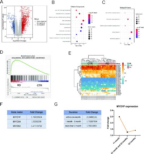 Transcriptome Analysis Of Human Retinal Detachment A Identification Of