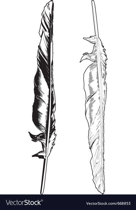 Crow feather Royalty Free Vector Image - VectorStock