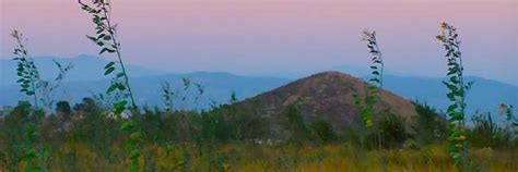 Is Murrieta Patch Hiding a Dark Secret? - 0g18c4k