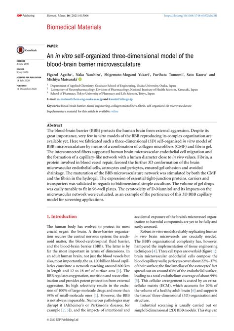 In Vitro Self Organized Three Dimensional Model Of The Blood Brain