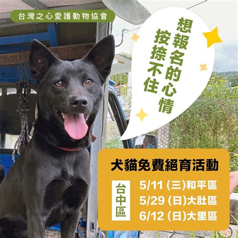 【台中市｜免費犬貓絕育活動】 台灣之心愛護動物協會 Hotac