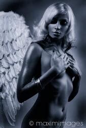 Photo Of Beautiful Nude Woman With Angel Wings Black And White Stock Image MXI25237