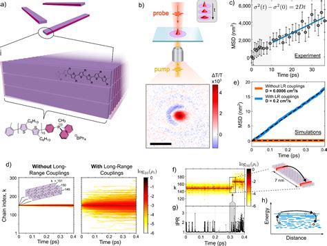 A New Frontier In Exciton Transport Transient Delocalization The