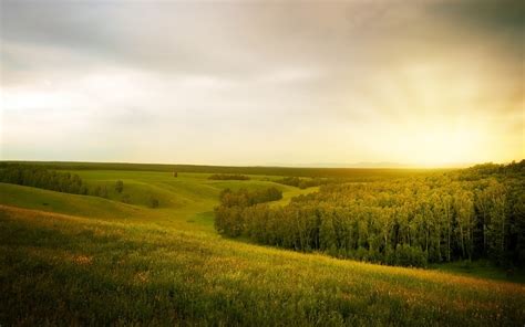 Summer Landscape With Forest Free Stock Photo - Public Domain Pictures