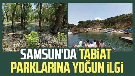 Samsun Daki Tabiat Park Ve Sulak Alanlar Bin Ki Iyi A Rlad