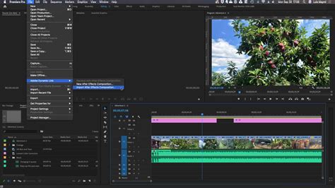 Adobe After Effects Vs Premiere A Side By Side Comparison Videomaker