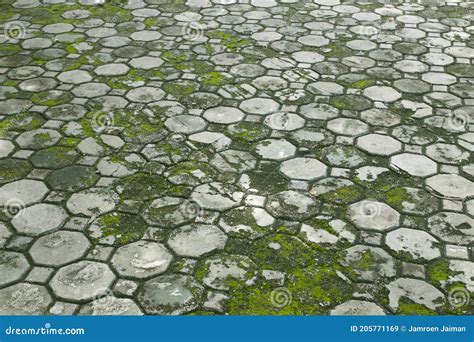 Walkway Cement Floore Tiles With Moss And Grass Stock Image Image Of