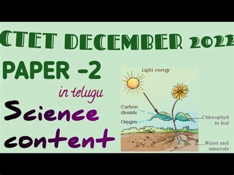 Ctet Paper Science Content Class Ncert Nutrition In Plants