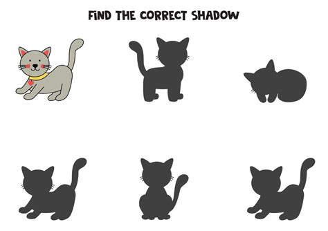 Find the correct shadows of cute gray cat. Logical puzzle for kids. 10690189 Vector Art at Vecteezy