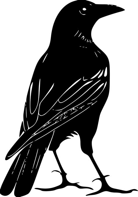 Crow, Black and White Vector illustration 23545447 Vector Art at Vecteezy