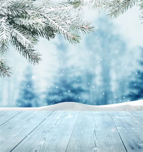 Professional Vinyl Christmas Backdrops For Photography Winter Snow