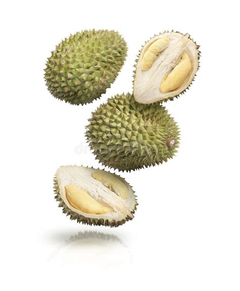 Many Ripe Durian Fruits Falling On White Background Stock Image Image