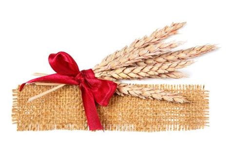 Wheat Bag Stock Photos, Images and Backgrounds for Free Download