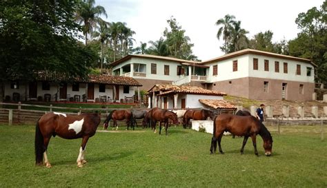 Hotel Fazenda Com Passeio A Cavalo - Fazenda da Roseta | O Hotel Fazenda dos passeios a cavalo no sul de ...