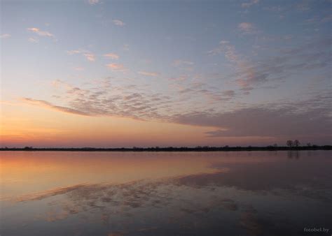 Река Припять | Фотоэнциклопедия Беларуси