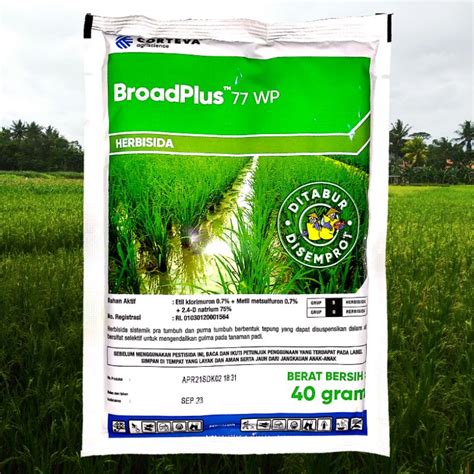 Jual Broad Plus Wp Gram Shopee Indonesia