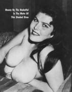 Mb Followup Please Help Id This Vintage Busty Brunette Vintage Erotica Forums