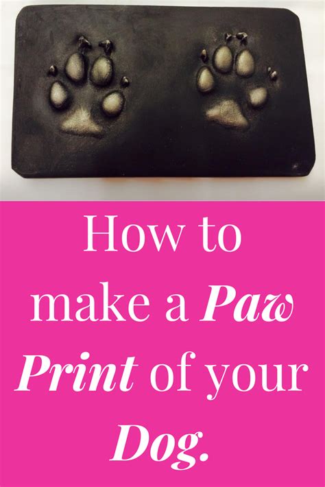 how to make a paw print of your dog