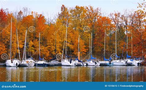 Boats In Autumn Stock Image Image Of Horizontal Gold 1510615