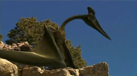 Quetzalcoatlus Dinosaur Planet Wiki Fandom Powered By Wikia